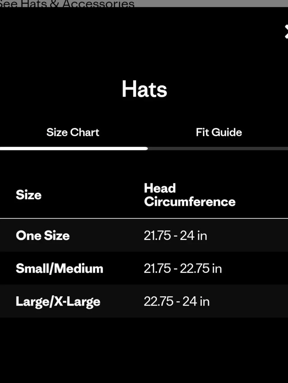 Patagonia Two-Tone Blue and White Trucker Hat